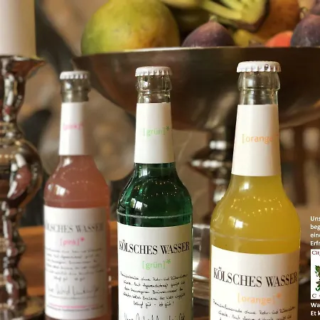 Luxus Naehe Messe - Lanxess Arena Apartman *